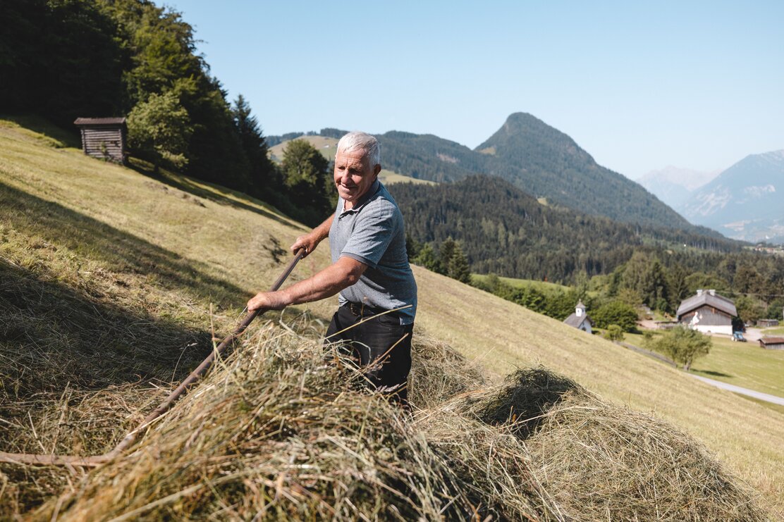 Ein Bauer ist bei der Feldarbeit, mit einem Rechen platziert er das Heu für die Abholung am Scheffachberg in Reith i.A.  | © Alpbachtal Tourismus | Mathäus Gartner 