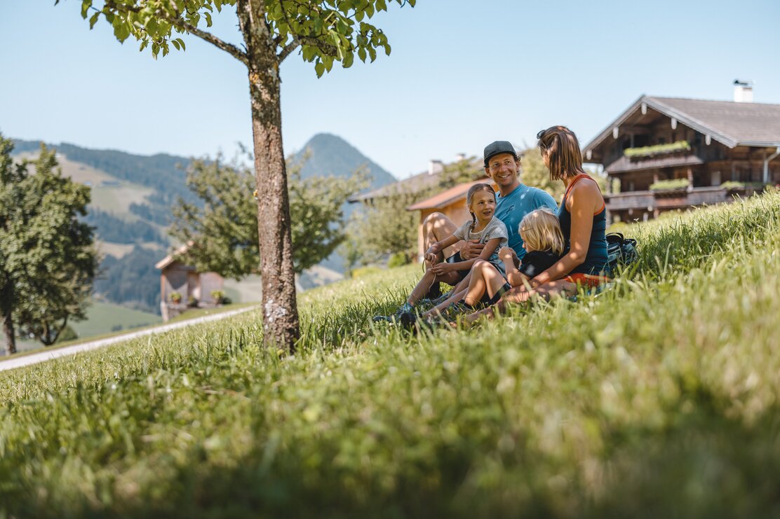 Eine Familie entspannt im Schatten eines Baumes inmitten eines Feldes, im Hintergrund eine schöne Bauernhof Landschaft | © Alpbachtal Tourismus | Mathäus Gartner 