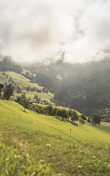 Heimatweg Alpbach | © Alpbachtal Tourismus | shootandstyle Dieses Bild zeigt den Heimatweg in Alpbach, rundherum grüne Wiesen, im Hintergrund ein altes Bauernhaus | © Alpbachtal Tourismus | shootandstyle