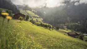 Dieses Bild zeigt den Heimatweg in Alpbach, rundherum grüne Wiesen, im Hintergrund ein altes Bauernhaus | © Alpbachtal Tourismus | shootandstyle 
