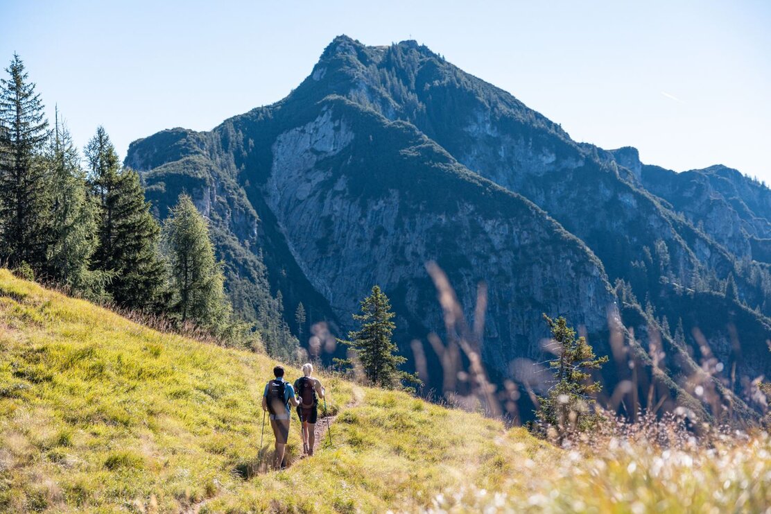 Ein Paar wandert vom Weg Hochstrickl auf die Gratlspitze, rundherum grüne Wiesen, blühende Bäume sowie die Berge  | © Alpbachtal Tourismus | shootandstyle 