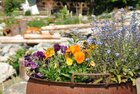 Hildegard von Bingen Garten in Reith i.A. | © Alpbachtal Tourismus Auf diesem Bild zu sehen ist ein kleiner Topf mit unterschiedlichen Blumen in lila-, orange- und blaufarben, im Hintergrund zu sehen der restliche Garten | © Alpbachtal Tourismus