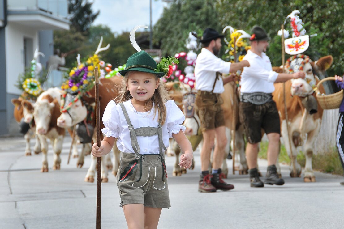 Ein junges Mädchen in Lederhose, weißer Bluse und grünem Hut geht voran, im Hintergrund einige bunt geschmückte Kühe  | © Alpbachtal Tourismus 