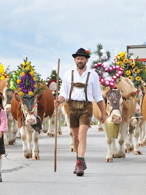 Ein Mann geht gemeinsam mit seinem Sohn beim Almabtrieb voran, dahinter viele bunt geschmückte Kühe | © Alpbachtal Tourismus