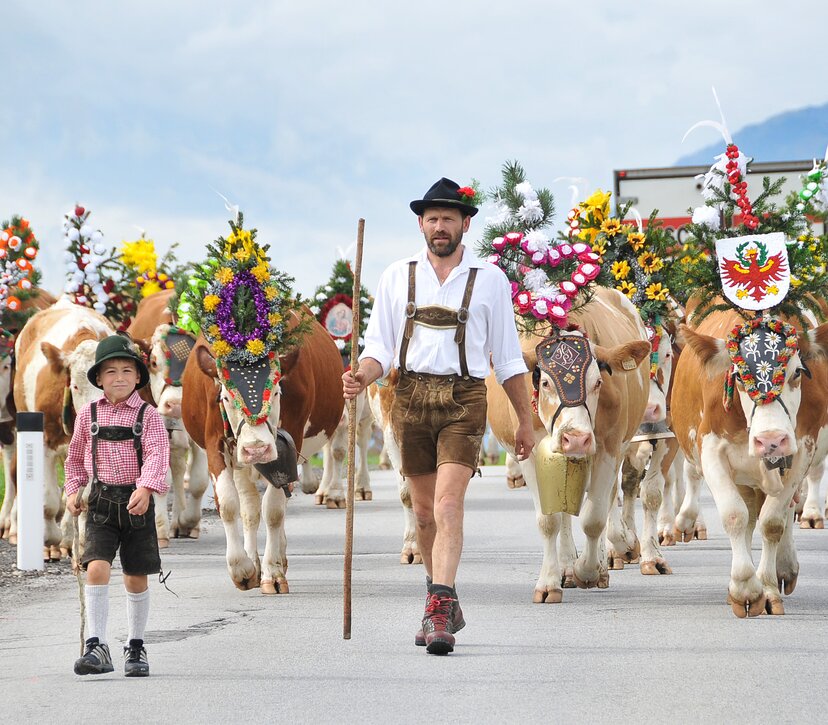 Ein Mann geht gemeinsam mit seinem Sohn beim Almabtrieb voran, dahinter viele bunt geschmückte Kühe | © Alpbachtal Tourismus