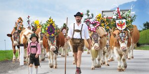 Almabtrieb Reith im Alpbachtal | © Alpbachtal Tourismus Ein Mann geht gemeinsam mit seinem Sohn beim Almabtrieb voran, dahinter viele bunt geschmückte Kühe | © Alpbachtal Tourismus