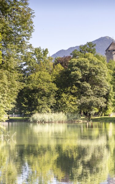Schlosspark Matzen Löwenteich | © Alpbachtal Tourismus | Matthias Sedlak Das Bild zeigt zwei steinerne Löwenstatuen, die auf Podesten im Schlosspark Matzen stehen und auf einen ruhigen Teich blicken, der von üppigen Bäumen umgeben ist; im Hintergrund zu sehen Gut Matzen | © Alpbachtal Tourismus | Matthias Sedlak