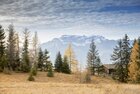 Herbststimmung auf der Holzalm Zimmermoos | © Alpbachtal Tourismus | Matthias Sedlak Auf diesem Bild zu sehen, ist ein Stück Wald mit einer kleinen Hütte, im Hintergrund die weißen Bergspitzen | © Alpbachtal Tourismus | Matthias Sedlak
