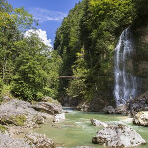 Der Wasserfall in der Tiefenbachklamm in Brandenberg, umgeben von blühender Natur  | © Alpbachtal Tourismus | Matthias Sedlak 