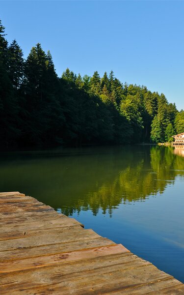 Berglsteinersee in Breitenbach am Inn | © Alpbachtal Tourismus Auf diesem Bild zu sehen ist der Berglsteinersee in Breitenbach am Inn, rundherum die blühende Natur | © Alpbachtal Tourismus