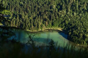 Auf diesem Bild zu sehen ist der Blick von oben, hinunter auf den Reintalersee in Kramsach  | © Alpbachtal Tourismus | Thomas Kargl