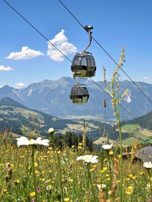 Alpbacher Bergbahn mit schöner Bergkulisse im Hintergrund sowie einer prachtvollen Blumenwiese im Vordergrund | © Alpbachtal Tourismus | Gabriele Grießenböck 