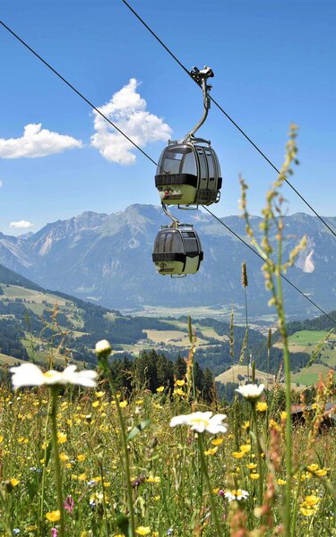 Alpbacher Bergbahnen | © Alpbachtal Tourismus | Gabriele Grießenböck Alpbacher Bergbahn mit schöner Bergkulisse im Hintergrund sowie einer prachtvollen Blumenwiese im Vordergrund | © Alpbachtal Tourismus | Gabriele Grießenböck