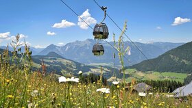 Zwei Gondeln, im Hintergrund schöne Bergkulisse, im Vordergrund eine prachtvolle Blumenwiese  | © Alpbachtal Tourismus | Gabriele Grießenböck 