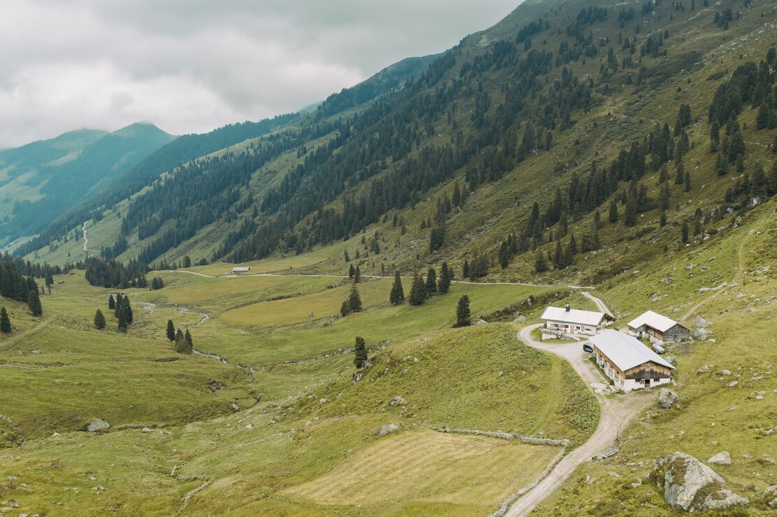 Steinbergalm Inneralpbach mit Blick auswärts des Tales  | © Alpbachtal Tourismus
