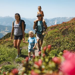 Eine Familie spaziert gemeinsam dem Panoramaweg Wiedersberger Horn entlang | © Alpbachtal Tourismus | Mathäus Gartner