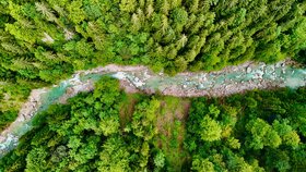 Drohnenaufnahme der Tiefenbachklamm von oben | © Alpbachtal Tourismus | fravely.de