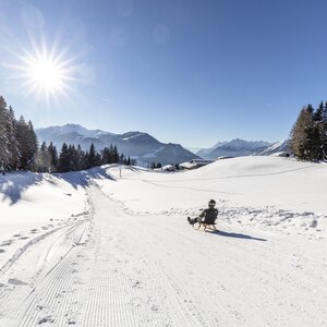 Auf diesem Bild sieht man, wie ein Mann auf einer Rodel gerade die Rodelbahn hinunter fährt , im Hintergrund die weiße Schneepracht und Sonnenschein  | © Alpbachtal Tourismus | shootandstyle 