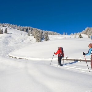 Auf diesem Bild sieht man zwei Personen, welche gerade den Berg mit ihren Tourenski hinauf gehen  | © Alpbachtal Tourismus 