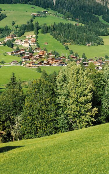Sommerlandschaft Alpbach | © Alpbachtal Tourismus | Alberto Campanile Blick auf Alpbach umgeben von der schönen grünen Natur | © Alpbachtal Tourismus | Alberto Campanile