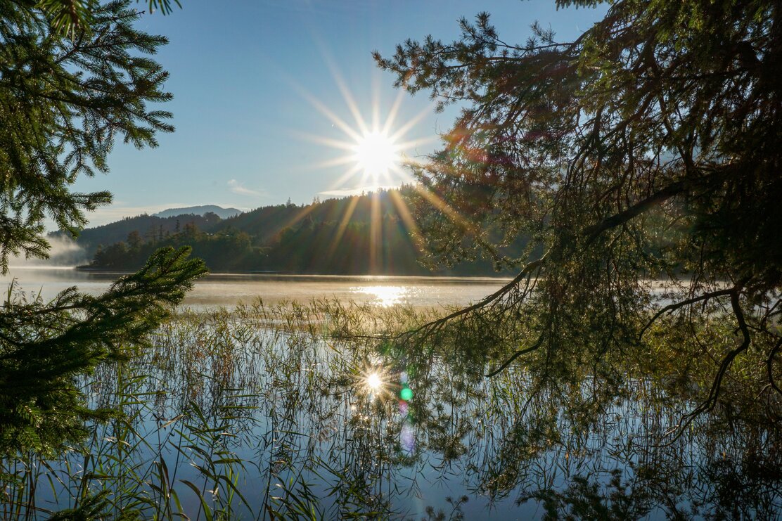Schöne Morgenstimmung am Reintalersee, über dem Wasser befindet sich noch eine kleine Nebeldecke doch der Sonnenschein ragt hindurch  | © Alpbachtal Tourismus 