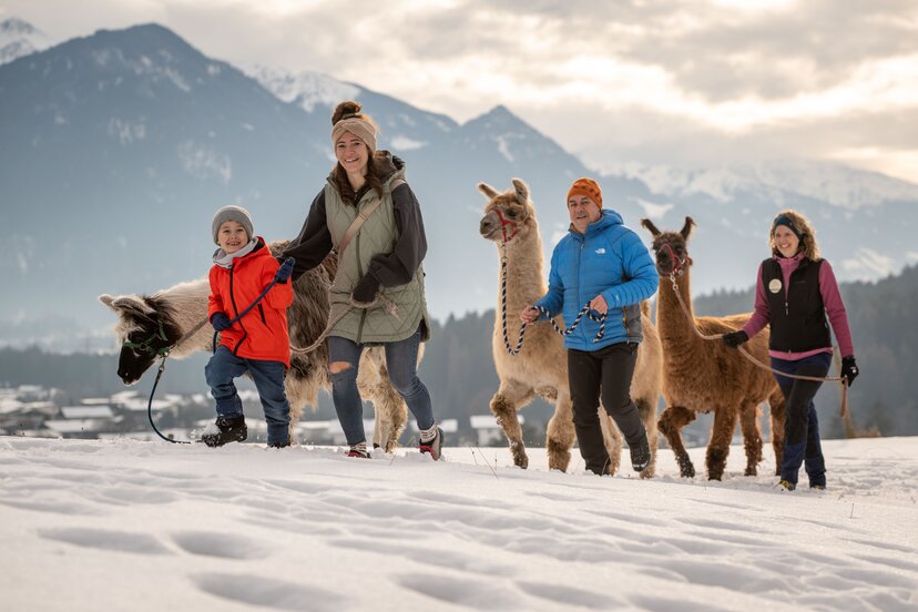 Alpakawanderung in Kramsach | © Gabriele Grießenböck