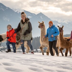 Alpakawanderung in Kramsach | © Gabriele Grießenböck