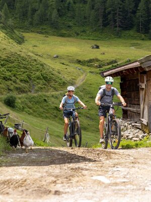 Mountainbiker auf der Farmkehralm | © Mathäus Gartner Mountainbiker auf der Farmkehralm | © Mathäus Gartner