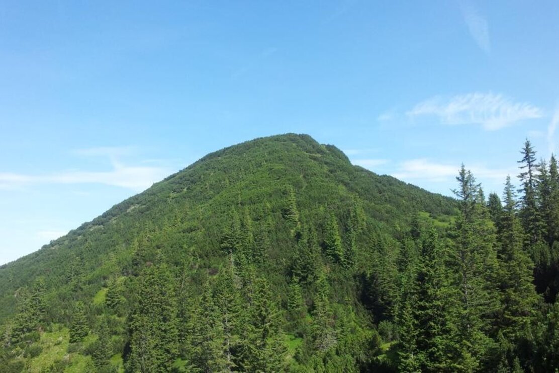 Kienberg