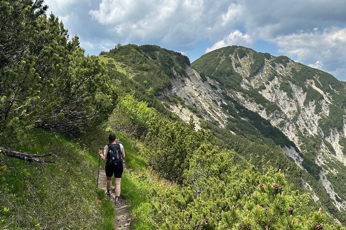 3 Gipfelwanderung Kienberg - Plessenberg - Heuberg