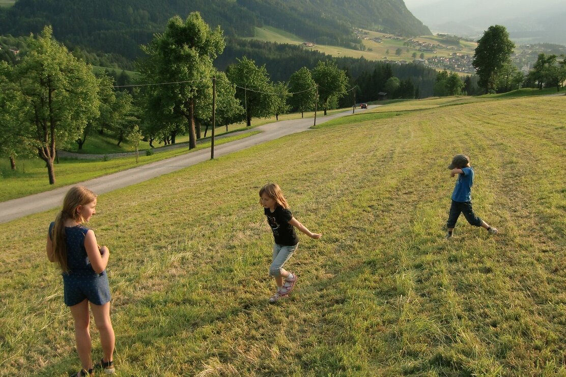 Kinder im Feld am Pinzgerhof | © Pinzgerhof
