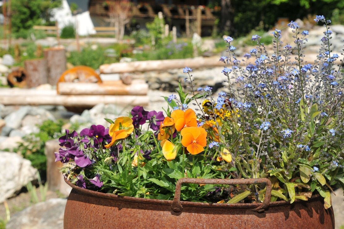 Hildegard von Bingen Garten