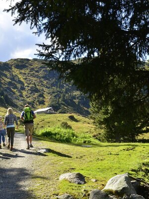 'Almenwanderung Inneralpbach | © Bernhard Berger 'Almenwanderung Inneralpbach | © Bernhard Berger