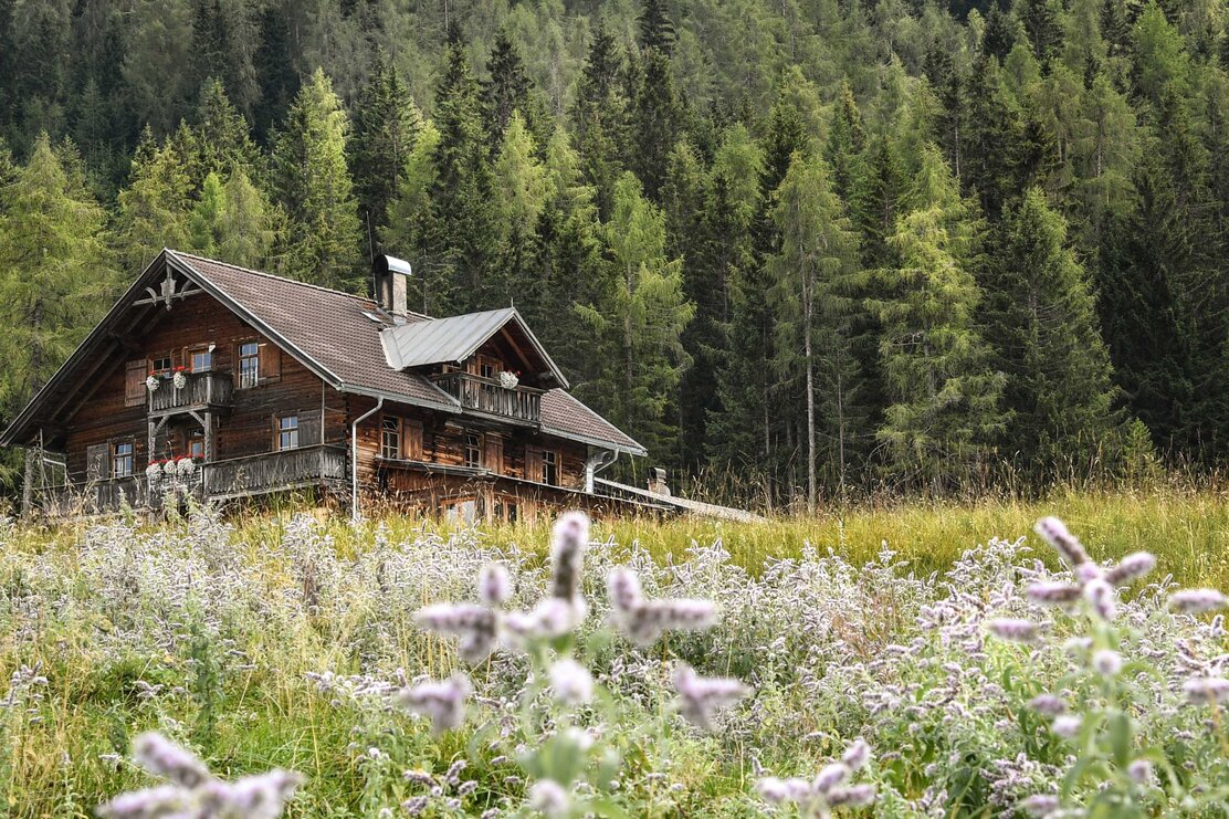 Alpine pasture Holzalm | © Gabriele Grießenböck
