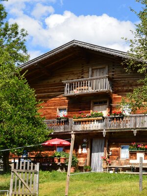 brach(ial)-runde kundl_img_610155392 | © Manuel Hufnagel