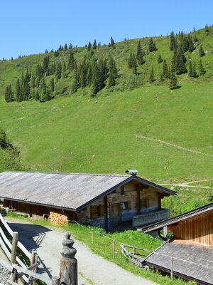 Kohlgrubenalm | © Gabriele Grießenböck
