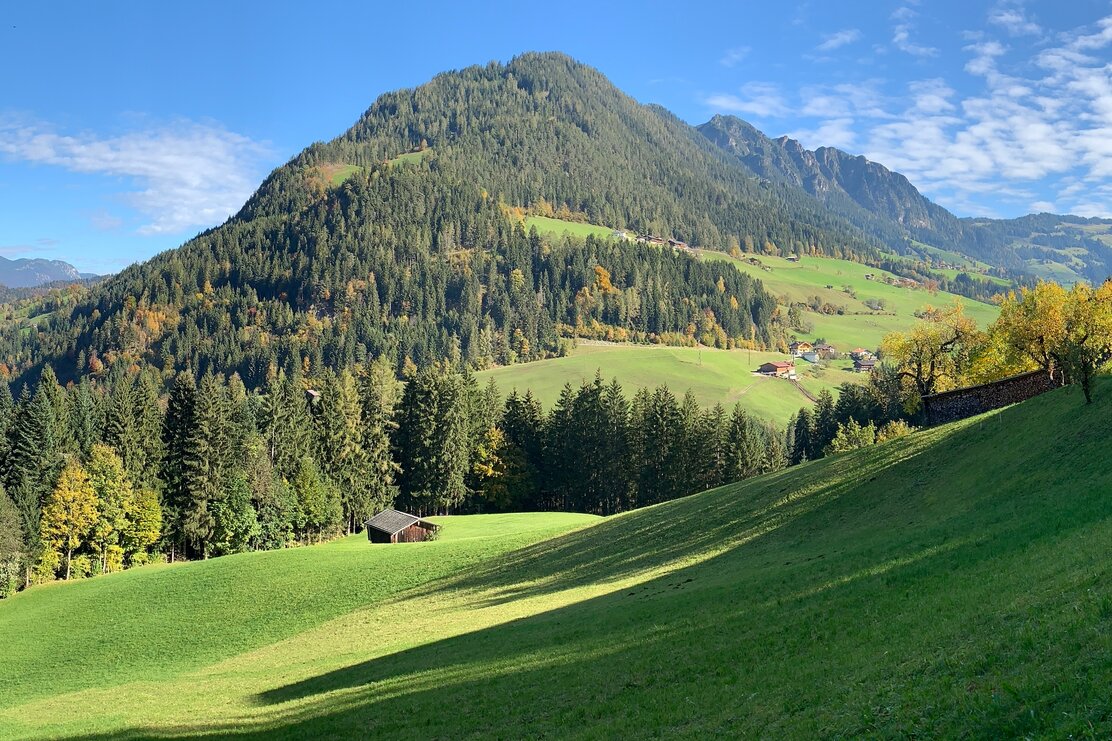 Neader | © Manuel Hufnagel