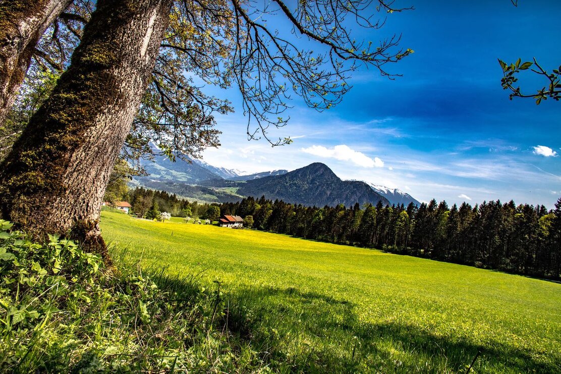 Spring Höllenstein Monastery | © Johann Erhard