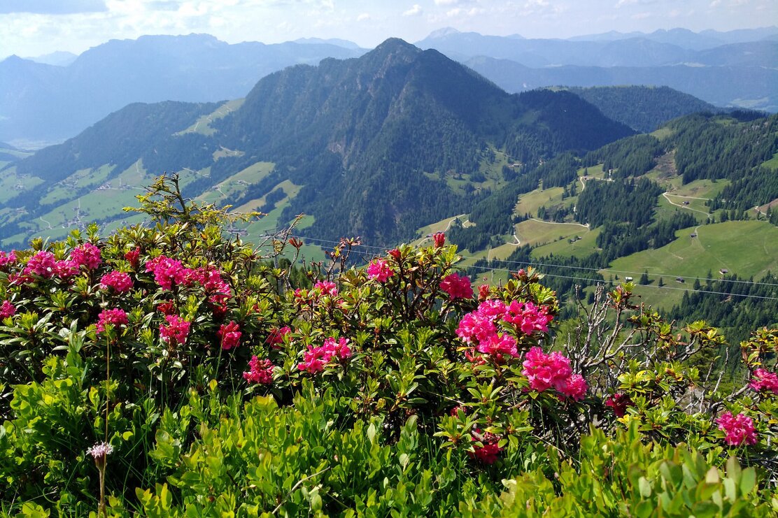 View from Schatzberg to Gratlspitz