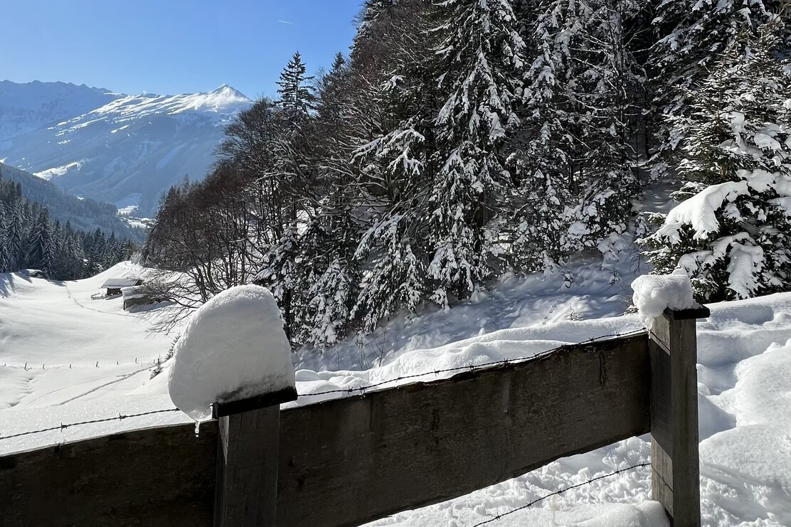 Zaun Hösljochkapelle Schneeschuhtour Hösljoch | © Birgit Angermair