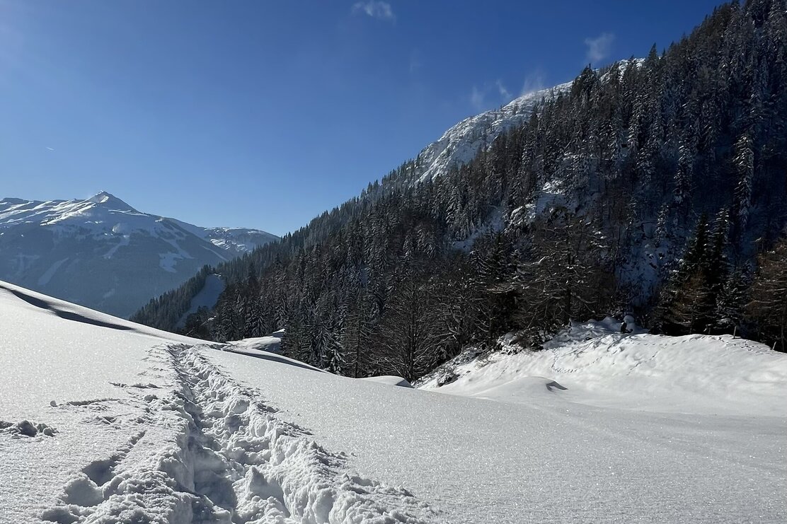 Aufstieg Höslalmen Schneeschuhtour Hösljoch | © Birgit Angermair