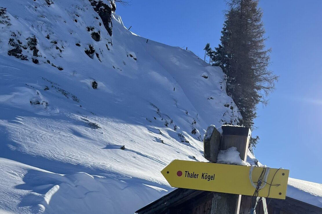 Abzweigung Thaler Kogel Schneeschuhtour Hösljoch | © Birgit Angermair