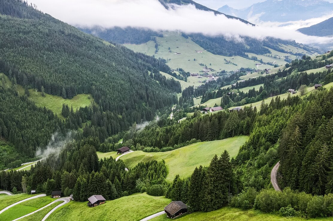 Talblick am Weg zur Steinbergalm | © Laura aus der Fünten