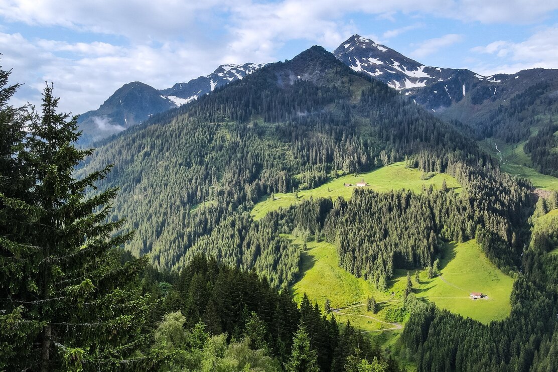 Ausblick Wanderung Steinbergalm Sonnjoch | © Petra Cosentino