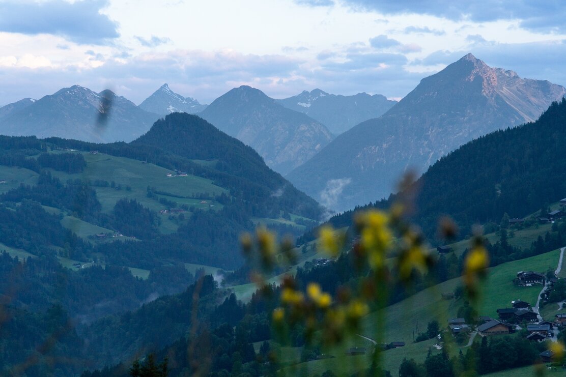 Ausblick Weg zur Steinbergalm | © Laura aus der Fünten