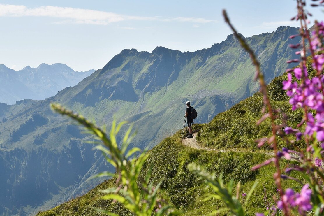 Panorama route Wiedersbergerhorn Alpbach | © Gabriele Grießenböck