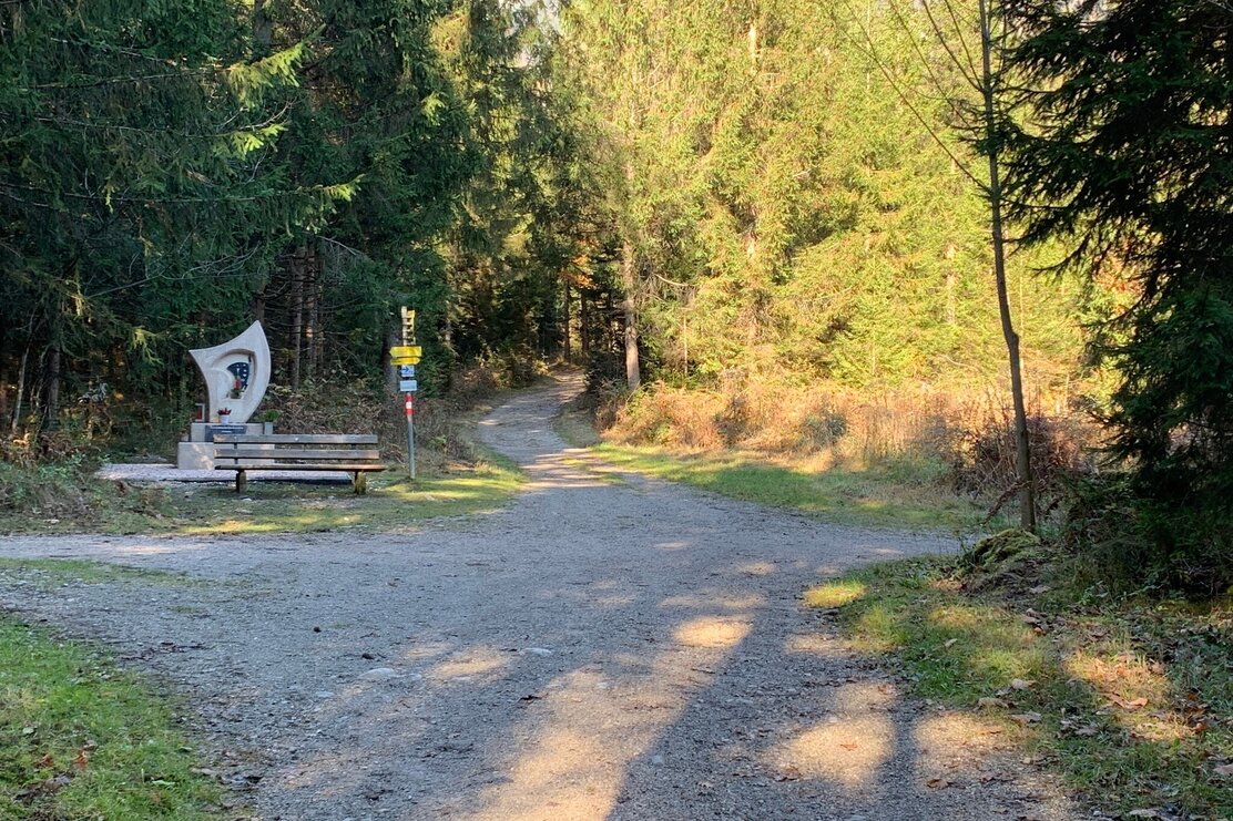 Weggabelung in den Wald Aktivrunde Münster | © Manuel Hufnagel