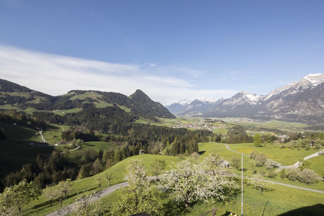 Sommer Pinzgerhof (1)