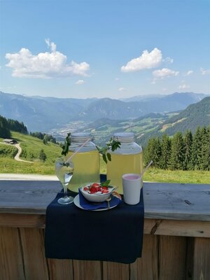 Wildsauhütte Wildsauhütte