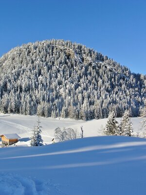 Winderlandschaft Reither Kogel Winderlandschaft Reither Kogel